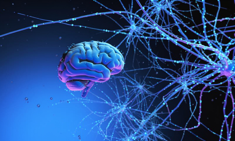 Neurology Diagnostic